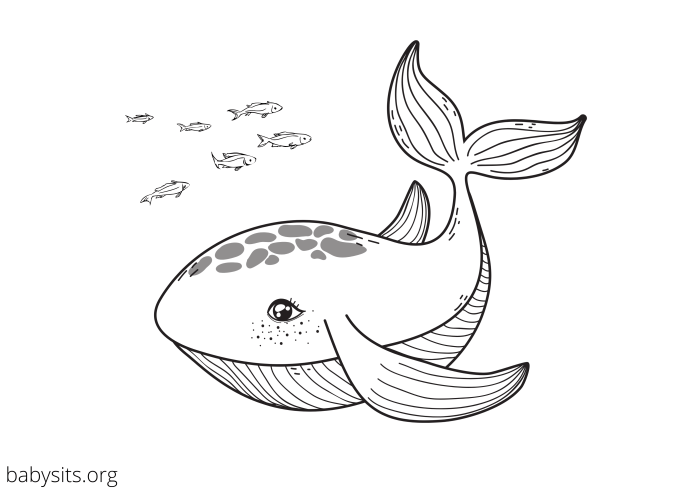 Sea animals coloring page