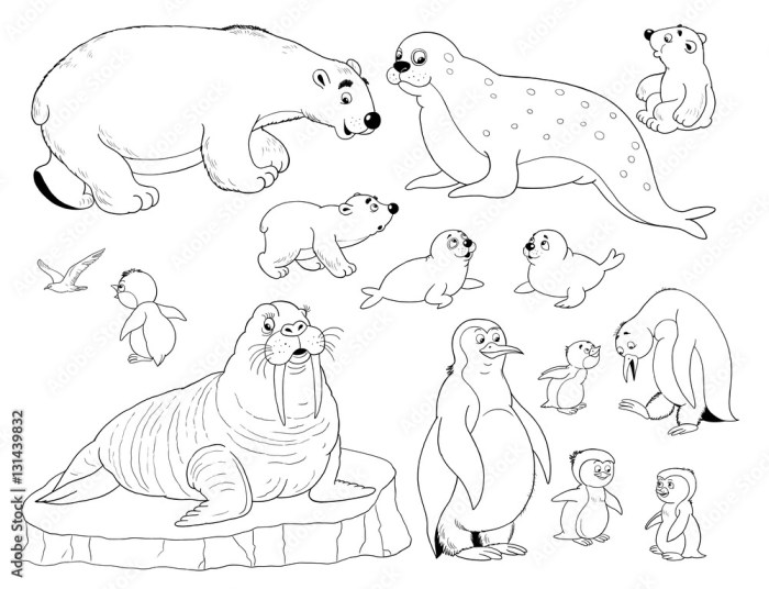 Arctic animal coloring pages