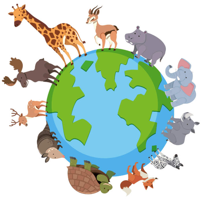 Animal coloring pictures to print