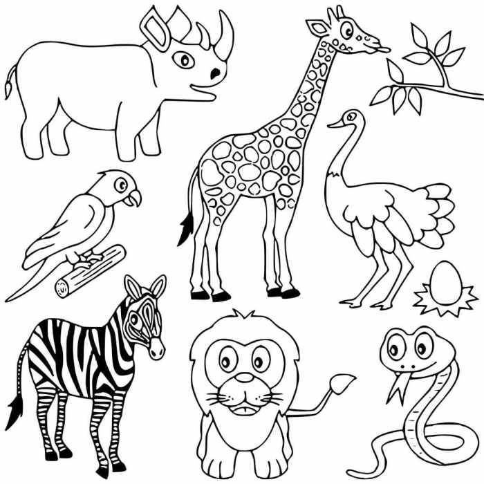 African Animal Coloring Pages A Creative Safari