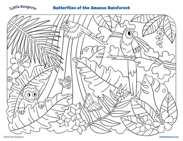 Rainforest animals coloring page