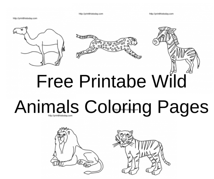 Printable wild animal coloring pages