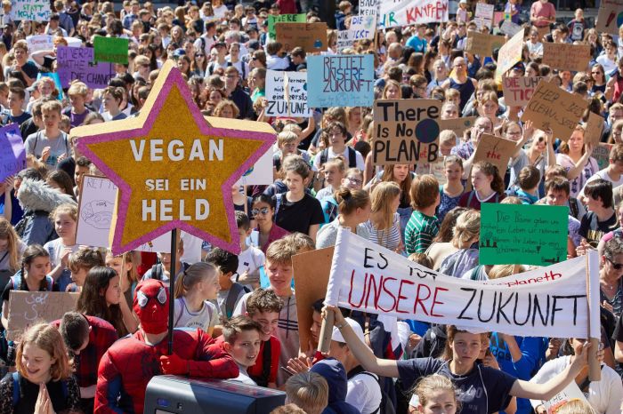 Kind vegan ernähren strafbar deutschland