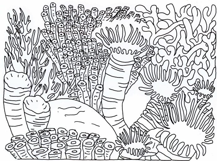 Coloring coral pages underwater reef sea adults world drawing barrier adult great color book fish outline line printable vector reefs