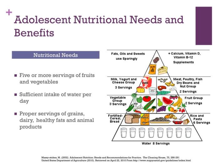 Life food cycle needs nutritional adolescence requirements stages different stage lifecycle picture