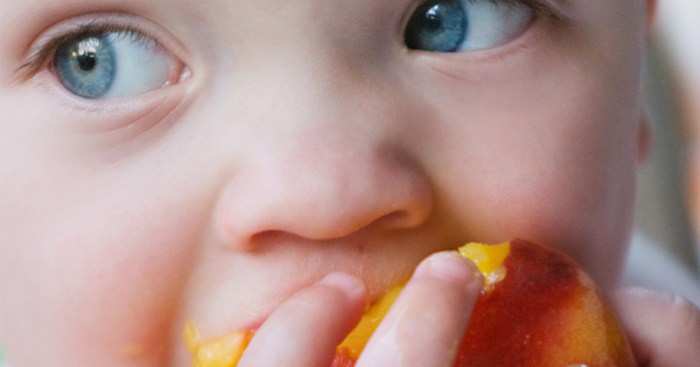 Kinder vegan ernähren Nachteile und Herausforderungen