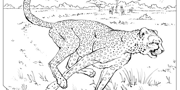 Animal free coloring pages