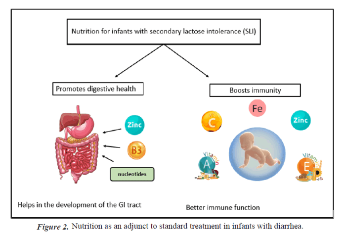 Nutrition kids importance december