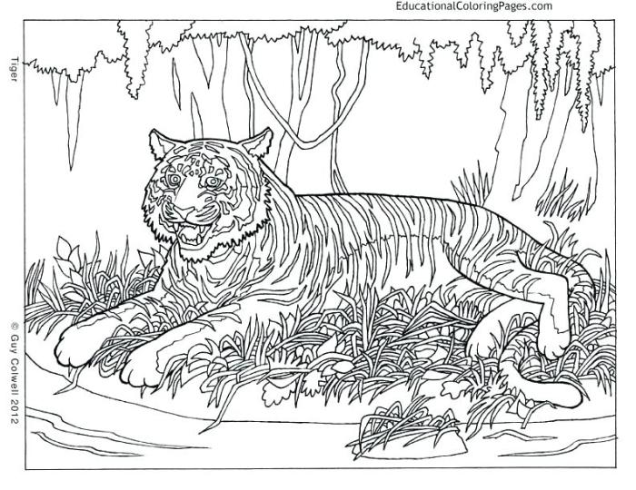 Coloring pages intricate animal getdrawings