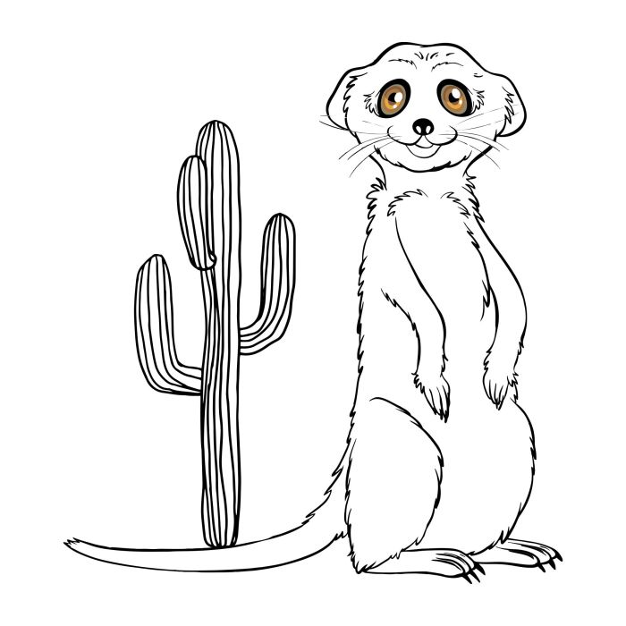 Desert Animal Coloring Sheets A Creative Exploration