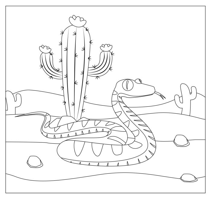 Desert animal coloring sheets