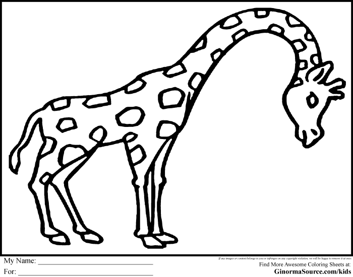 Easy animals coloring pages