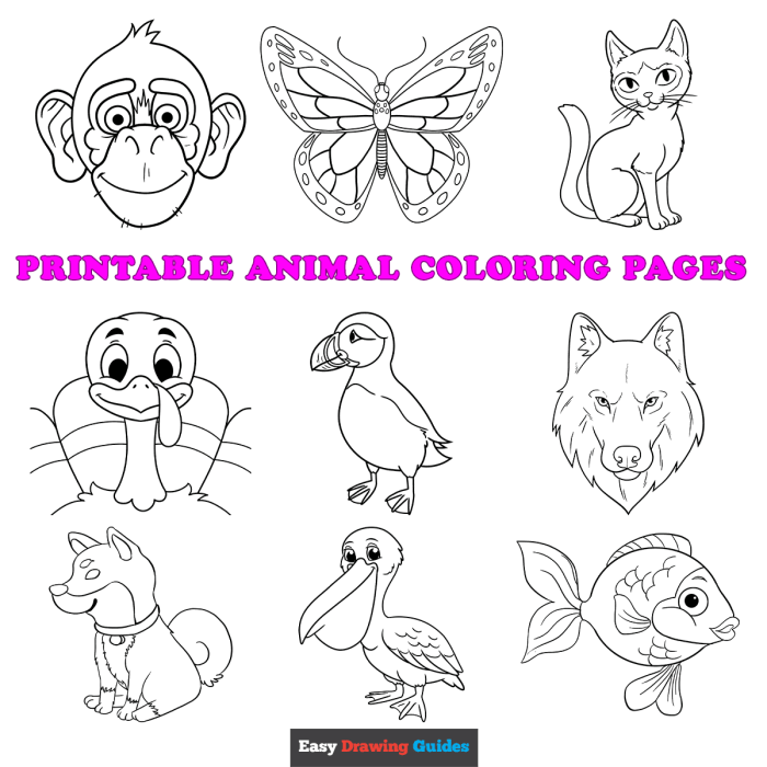 Animal coloring pages realistic