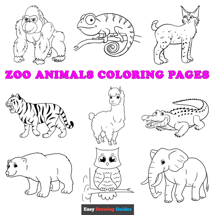 Zoo animal coloring sheets