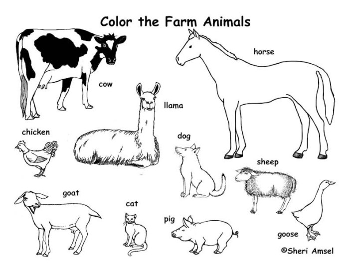 Free coloring pictures of farm animals