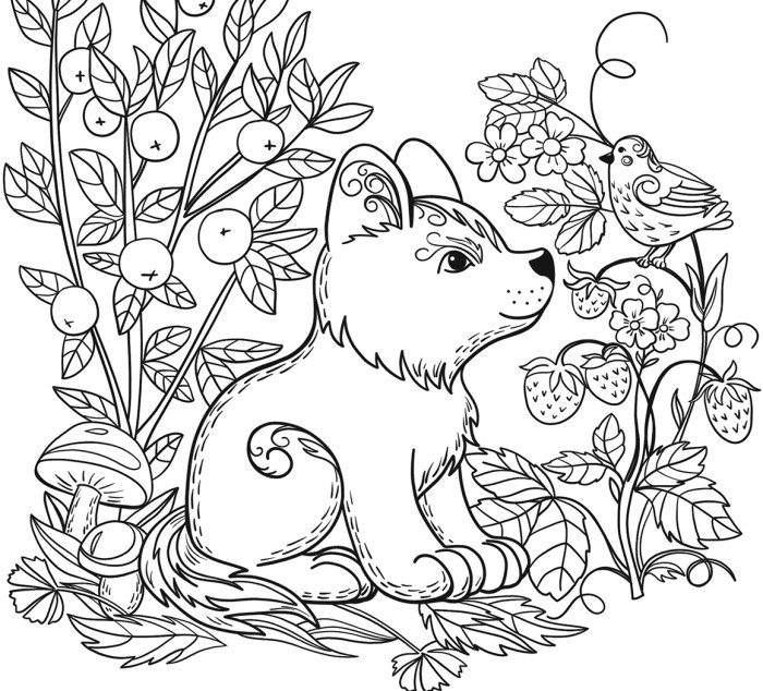 Printable wild animal coloring pages