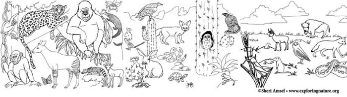 Animal habitat coloring pages