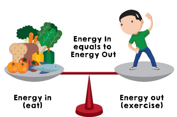 Energieverbrauch ernährung bewegung dshs kinder