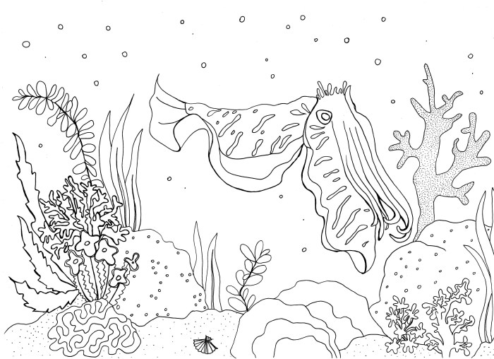 Coral reef animals coloring pages