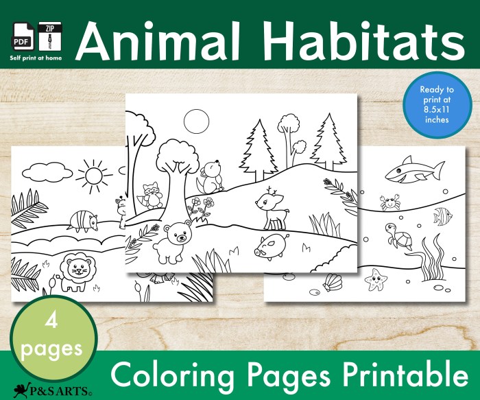 Animal habitat coloring pages