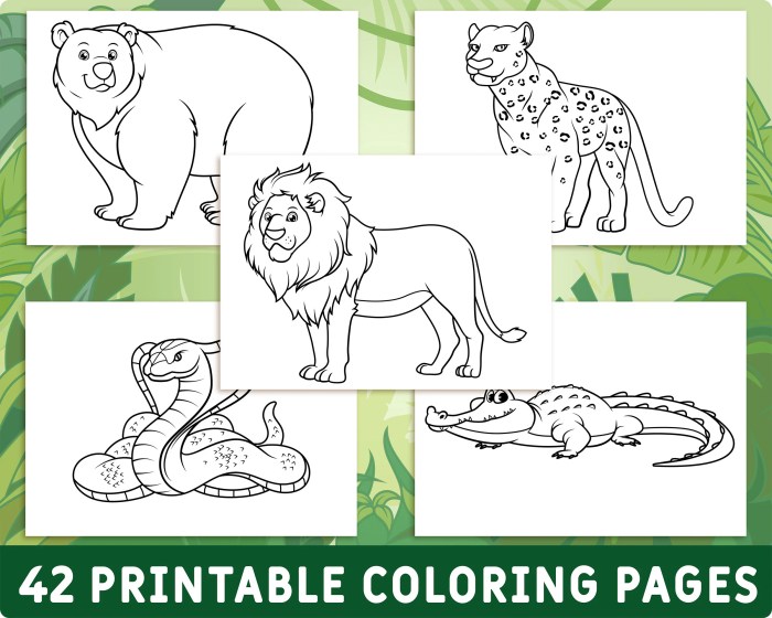 Printable Wild Animal Coloring Pages Spark Creativity