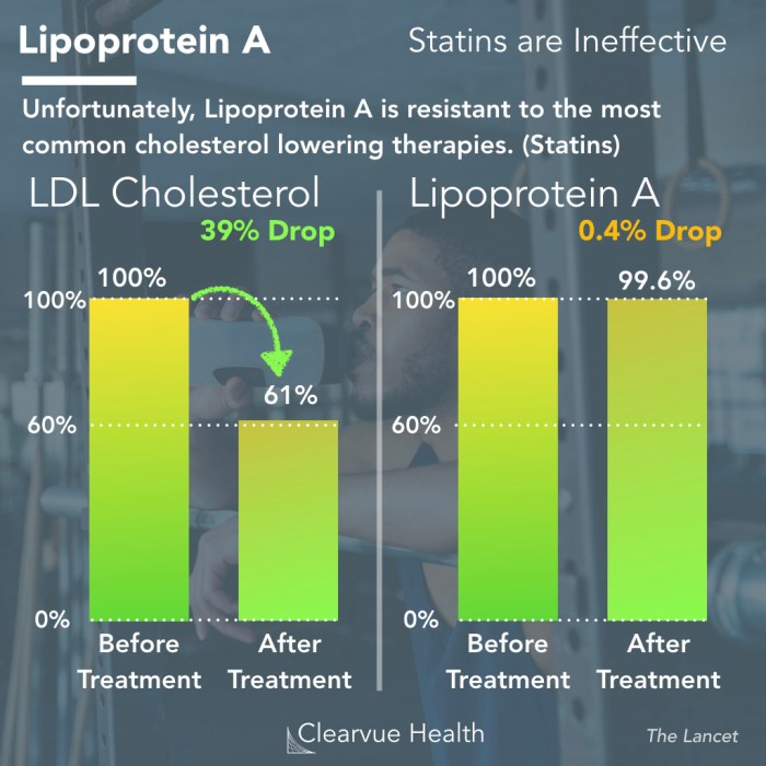 Lipoprotein a senken kinder ernährung