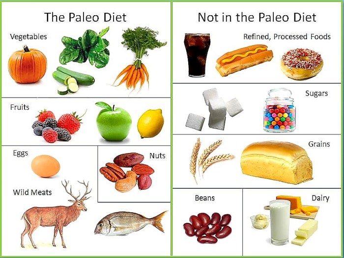 Paleo ernährung auch für kinder