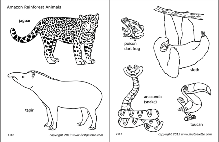 Animals in the rainforest coloring pages