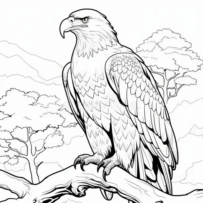 Realistic coloring pages animals