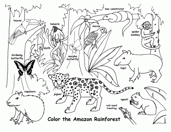 Forest with animals coloring pages