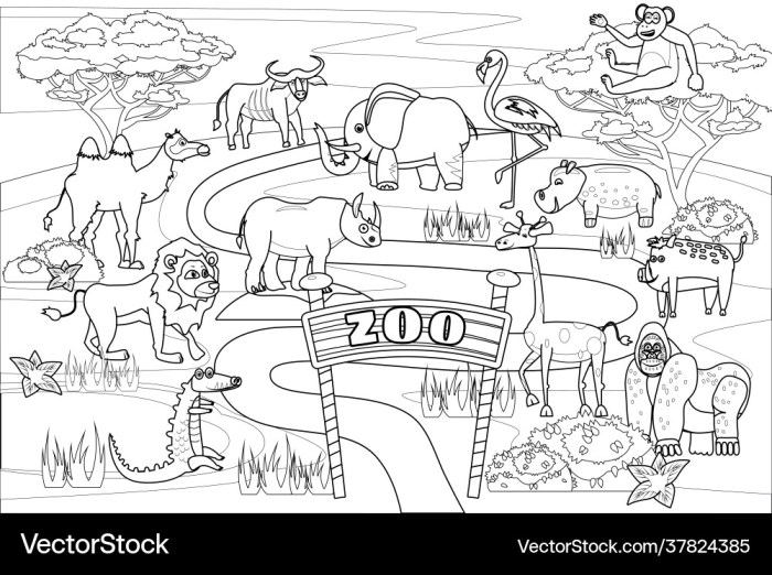 Printable zoo animals coloring pages